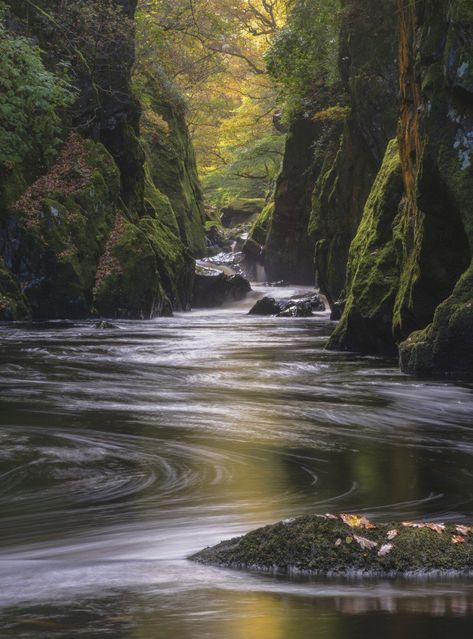 Relaxing Pictures, Calming Photos, Relaxing Photos, Relaxing Images, Calming Images, Calming Pictures, Fairy Glen, Snowdonia National Park, Image Nature