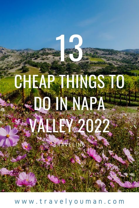 Best Vineyards In Napa Valley, Wine Train Napa Valley, Things To Do In Napa Besides Drink, Things To Do In Napa California, Napa Things To Do, What To Do In Napa Valley, Things To Do In Napa Valley, Napa Valley Aesthetic, Sonoma Itinerary