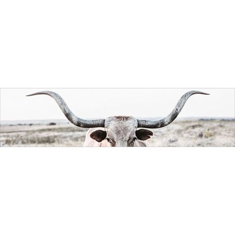 36X9 Longhorn Shows Off Canvas Longhorn Canvas, Townhome Decorating, Western Wall Decor, Sweet Pictures, Guest Room Decor, Texas Longhorn, Austin Homes, Texas Longhorns, Cricut Vinyl