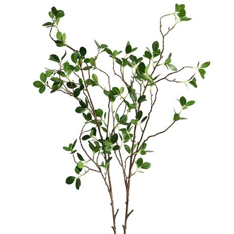 PRICES MAY VARY. This price is for 2 pcs Faux eucalyptus size：each stem about 42inch tall can cut or bend to adapt your vase your needs real touch leaves and iron stems, good quality Suitable as a filler for artificial plant arrangements, DIY bouquet, Home decorative greenery Package includes 2 pcs Artificial Plants.NO VASE Natural Home Design, Wedding Bouquets Diy, Bouquets Diy, Round Mirror Decor, Artificial Plant Arrangements, Eucalyptus Stems, Greenery Bouquet, Neutral Area Rugs, Artificial Eucalyptus