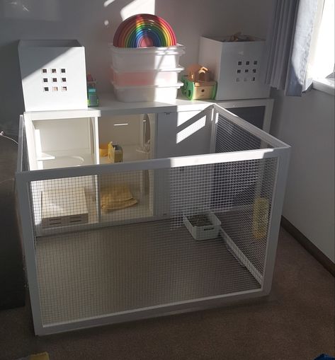 Rabbit hutch diy, ikea kallax hack Ikea Rabbit Hutch, Rabbit Ikea Hack, Ikea Rabbit Hack, Rabbit Food Storage Ideas, Ikea Bunny Hack, Rabbit House Diy, Diy Rabbit Hutch Indoor, Diy Bunny Cage Indoor, Rabbit Hutch Ideas