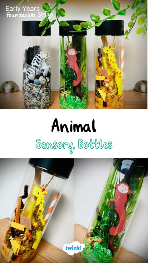 Animal Sensory Bottles. Thanks to Aimee Wheeler Animal Sensory Bottles, Class Pets, Sensory Play Toddlers, Dear Zoo, Jungle Monkey, Sensory Tubs, Sensory Bottle, Class Pet, Early Years Foundation Stage