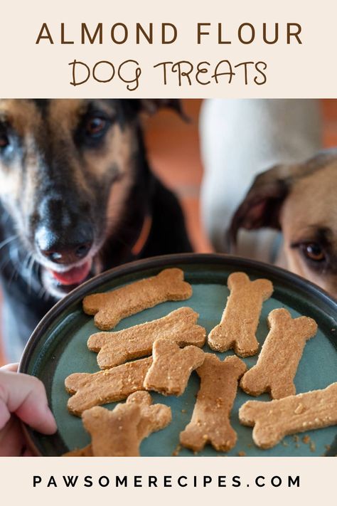 Almond Flour Dog Treats, Recipes With Almond Flour, Diy Dog Treats Healthy, Dog Treats Homemade Peanut Butter, 3 Ingredient Dog Treats, 3 Ingredient Pumpkin, Dog Meals, Banana Dog Treats, Gluten Free Dog Treats