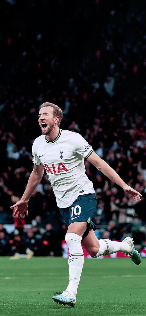 English Football Stadiums, Harry Kane Wallpapers, Kane Harry, Kane Wallpaper, Arsenal Soccer, Tottenham Hotspur Players, Roman Reigns Shirtless, Soccer Highlights, Kpop News