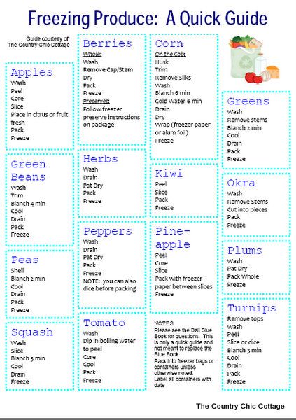 how to freeze produce Freezing Produce, Freeze Fruit, Food Shelf Life, Freezing Vegetables, Freezing Fruit, Diy Foods, Cottage Diy, Food Preserving, Food Shelf