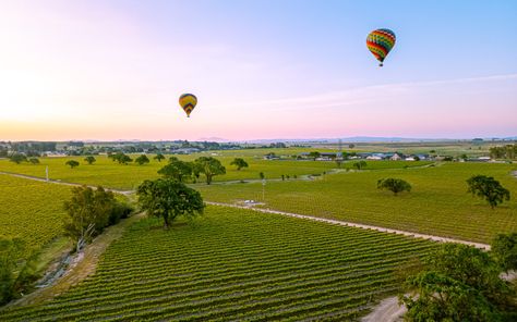 Sonoma Ballooning welcomes locals and guests from around the world daily. Whether you are on your dream wine country vacation, a romantic getaway to Sonoma or simply on a “staycation,” we’ve got you covered with our Sonoma Valley balloons. Country Vacation, Hot Air Balloon Wedding, Sunrise Wedding, Private Flights, Vegan Wine, Sonoma Wine Country, Sonoma Valley, Romantic Getaway, Wedding Balloons