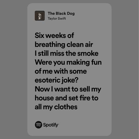 The Black Dog The Black Dog Lyrics, Sell My House, Taylor Swift Lyrics, Black Dog, Lyric Quotes, Spotify Song, Poets, Cool Things To Make, Song Lyrics