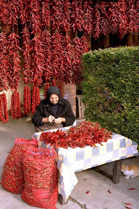 Tunisian Aesthetic, Hungary Food, Hungarian Culture, Hungarian Paprika, Hungarian Folk Art, Woodland House, Hungary Travel, Hungarian Food, Hungary Budapest