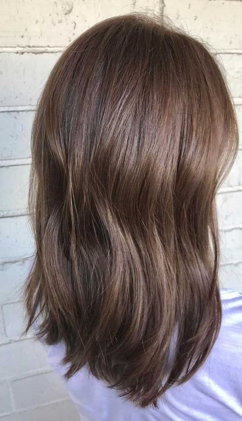 49 Beautiful Light Brown Hair Color To Try For A New Look Neutral Brown Hair Color, Neutral Brown Hair, Beautiful Light Brown Hair, Honey Brown Hair Color, Medium Brown Hair Color, Cool Brown Hair, Light Brown Hair Color, Hair Levels, Beautiful Brown Hair