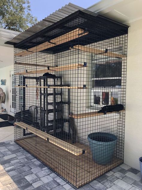 My Catio and Cat-Friendly Backyard - CatVetLife Catio Ideas Cat, Diy Cat Enclosure, Cat Stand, Katt Grejer, Cat Patio, Outdoor Cat Enclosure, Cat House Diy, Cat Run, Cat Proofing