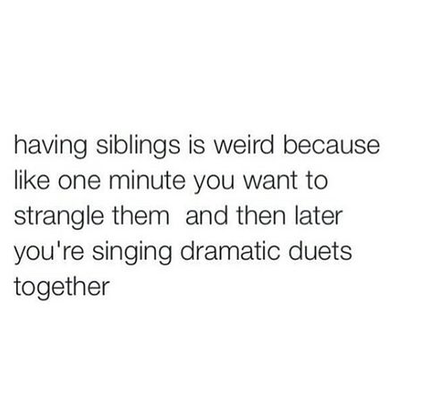 "I BARELY TOUCHED YOU!" – Every sibling ever. Siblings Funny Quotes, Sibling Memes, Growing Up With Siblings, Sibling Quotes, Siblings Funny, Quotes Arabic, Sister Quotes, Funny Relatable Quotes, Funny Tweets