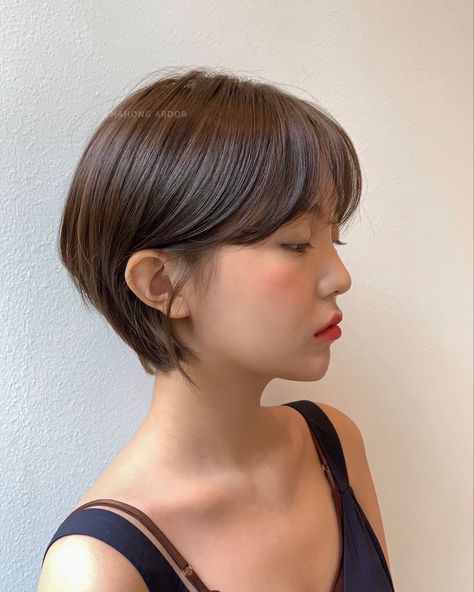 ผมทรง Long Pixie, Korean Pixie, Longer Pixie Haircut, Korean Short Hair, Asian Short Hair, Hair Inspiration Short, Short Hair Trends, Long Pixie, Shot Hair Styles