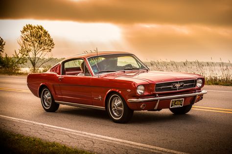 Ford Mustang 1960, Hairstyles 60s, 60s Mustang, 1960 Hairstyles, 2018 Mustang Gt, 60s Hairstyles, Boys Hairstyles, 60s Hair, 1967 Ford Mustang