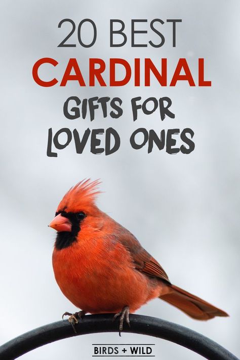 best red cardinal gifts Cardinal Symbolism, Cardinal Gifts, Christmas Ideas Gifts, Bird Types, Dollar Store Diy Organization, Christmas Cardinals, Christmas Gift Basket Ideas, Bird Care, Bird Crafts