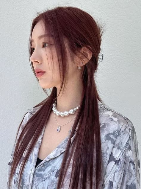 Korean red brown hair color: layered long sleek hair Asian Chocolate Brown Hair, Korean Dark Brown Hair, Hair Color Wine Red, Cherry Red Brown Hair, Cherry Brown Hair Color, Red Brown Hair Color Ideas, Plum Brown Hair, Asian Brown Hair, Asian Red Hair