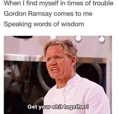 Gordon Ramsay Quotes, Gorden Ramsey, Gordon Ramsay Funny, Food Funny, Ideas Food, Education Humor, Funny Food, Troubled Times, Gordon Ramsay