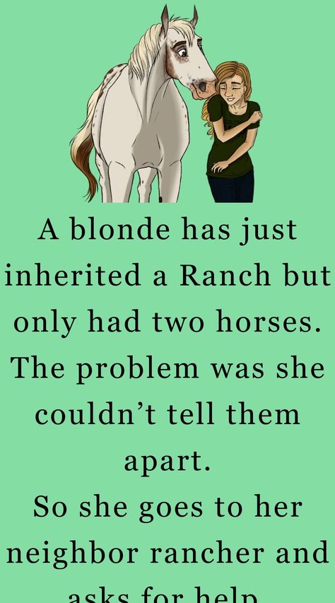 (1) New Message! Horses Funny, Horse Memes, Couples Jokes, Blonde Jokes, Jokes Humor, Photography Movies, Daily Jokes, Wife Jokes, Two Horses