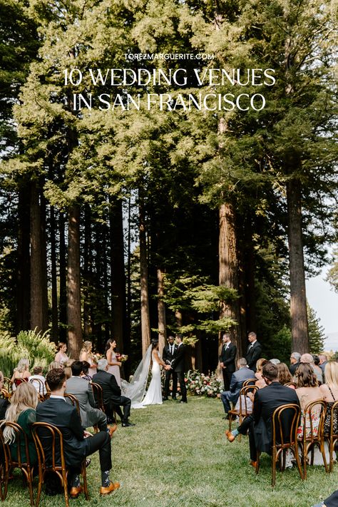 San Francisco Wedding Venues, Golden Gate Park Engagement Photos, Sf Elopement, Big Sur Wedding Venues, Mountain Terrace, Woodside California, Redwood Forest Wedding, San Francisco City Hall Elopement, San Francisco Engagement Photos