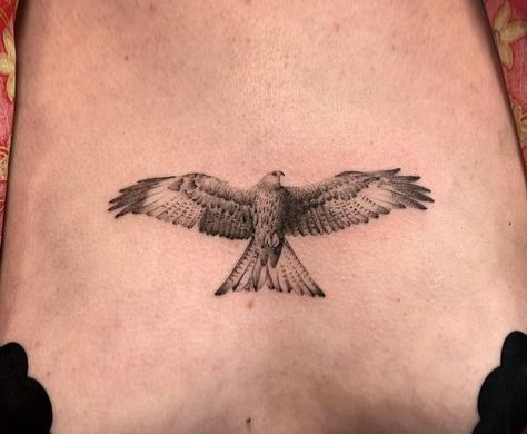 Flying Falcon Tattoo, Delicate Hawk Tattoo, Strong Bird Tattoo, Hawk Outline Tattoo, Bird On Back Tattoo, Kestrel Tattoo Design, Sparrow Hawk Tattoo, Sparrowhawk Tattoo, Australian Bird Tattoo