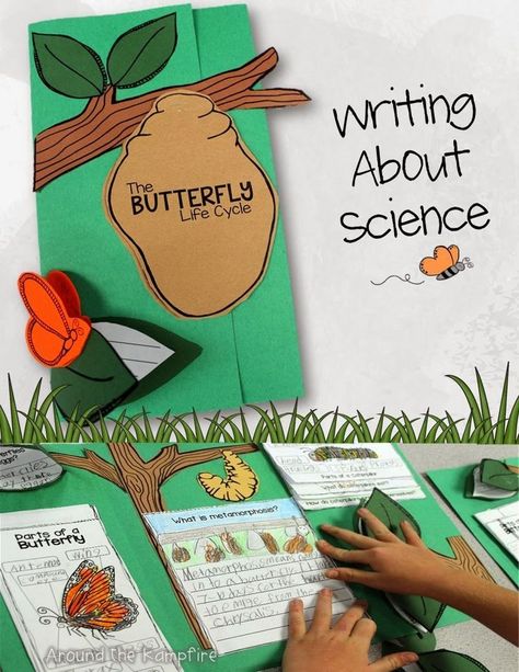 Butterfly Life Cycle Foldable, Butterfly Math Activities, Butterfly Life Cycle Activity, Butterfly Lessons, Science Life Cycles, Science Experience, Butterfly Science, Butterflies Activities, Second Grade Science