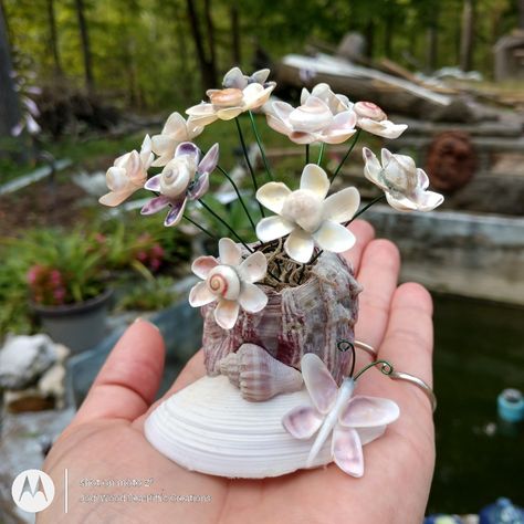 This miniature flower arrangement is filled with small coquina flowers! Each flower is adorned with a small snail in the center! Follow the link to my Etsy shop to see more & make sure you ♥️👍follow along so you don't miss anything! Seashell Creations, Beautiful Seashells, Seashell Art Diy, Seashell Projects, Shell Flowers, Miniature Flowers, Shell Decorations, Shell Crafts Diy, Floral Picks