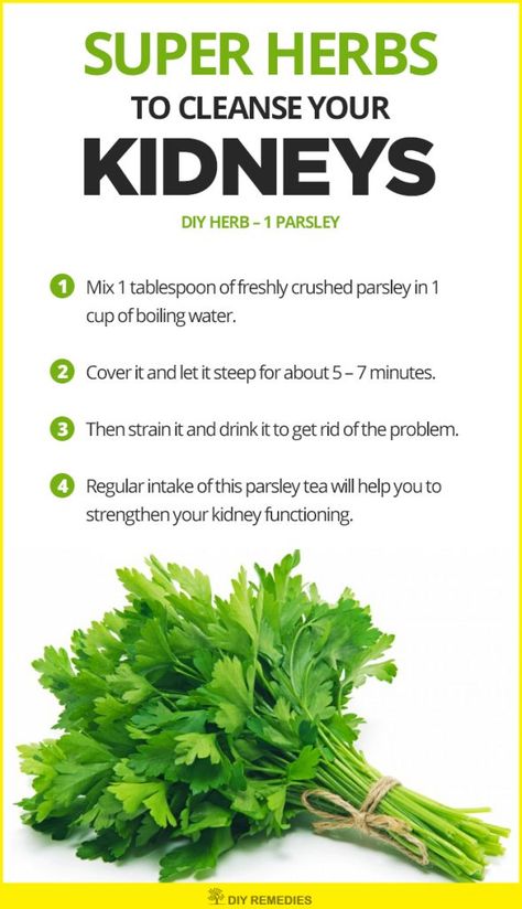 Parsley Tea, Autogenic Training, Bahasa China, Natural Diuretic, Kidney Cleanse, Smoothie Detox, Herbs For Health, Kidney Health, Healing Food