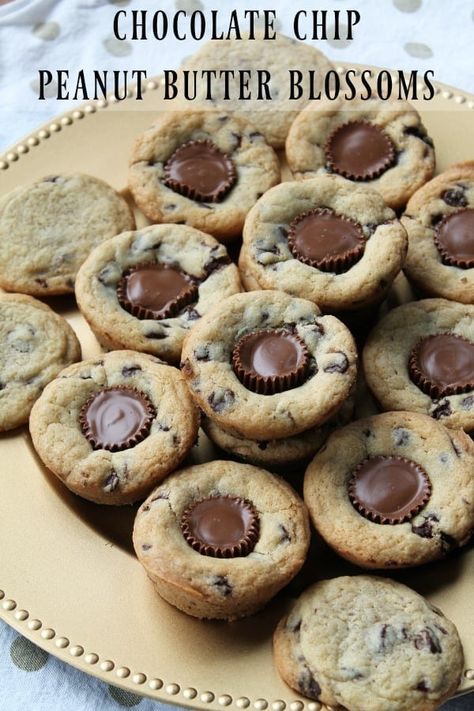 Chocolate Chip Peanut Butter Blossoms feature chewy chocolate chip cookies baked in a muffin pan. As soon as you take the cookies out of the oven while they're still soft, press a mini peanut butter cup right in the middle, then let them cool. You'll end up with an absolutely amazing cookie. This recipe is easy and impressive. #chocolatechipcookies #peanutbutterchocolate #cookierecipe Chocolate Chip Cookie Cups, Blossom Cookies, Peanut Butter Blossoms, Peanut Butter Cup, Cookie Cups, Be Awesome, Peanut Butter Cups, Vegetarian Chocolate, Clean Eating Snacks