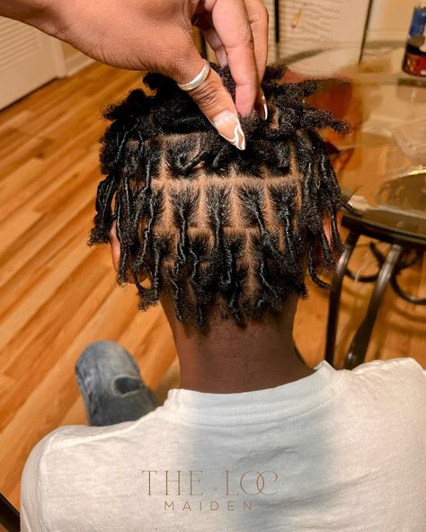 🌱 Starter Locs 🌱 $70 special for starter locs still going strong! Show your future locs some love 🤎 with @TheLocMaidenLLC 🌱 • • • #thelocmaiden #locs #locs4life #starterlocs #combcoils #combcoilstarterlocs #atl #atlloctician #fyp #explore Locs For Boys, Starter Locs On Short Hair, Locs On Short Hair, Short Hair Black Women, Flips Hair, Hair Black Women, Short Hair Black, Starter Locs, Birthday Fits