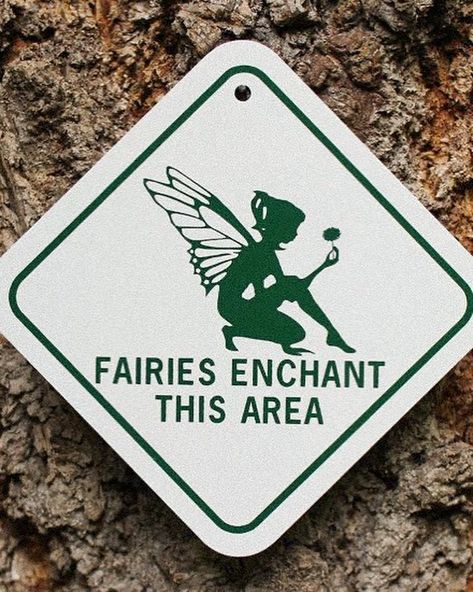 fairies enchant this area 🧚🏼 Fairy Projects, Terrasse Design, Ministry Of Magic, Fairy Gifts, Fairy Aesthetic, Tinker Bell, Fairy Gardens, Fairy Houses, Fairy House