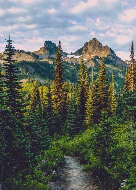 🇺🇸 Wonderland Trail (Mount Rainier National Park, Washington) by Pedalhead’71 cr. Wonderland Trail, Landscape Designs, Into The Wild, To Infinity And Beyond, Wanderlust Travel, Nature Travel, Nature Beauty, Beautiful World, Beautiful Landscapes