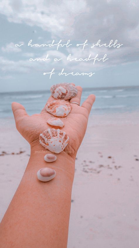 seashell quote • visit my YouTube channel ☺️ Quotes About Seashells, Seashell Sayings, Sea Shells Quotes, Shell Quotes Seashells, Sea Quotes Inspirational Short, Shells Quotes, Beach Shells Aesthetic, Maldives Quotes, Seashell Quotes