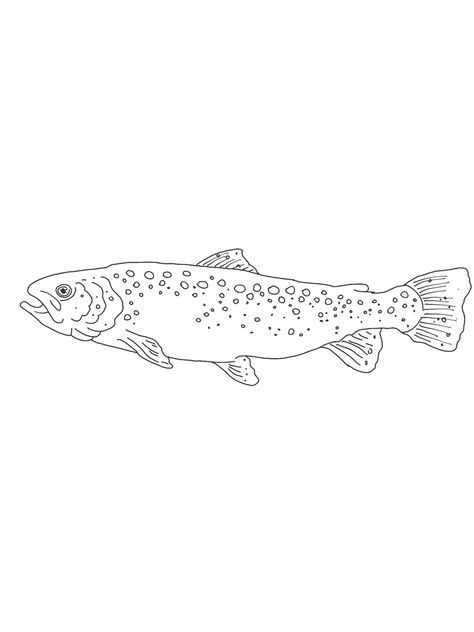 Simple Trout Tattoo, Small Trout Tattoo, Trout Tattoo, Tiny Tattoos, Small Tattoos, Tattoos For Guys, Tattoos, Quick Saves, Beauty