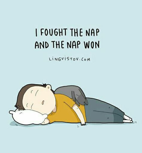 Nap Time Quotes, Nap Meme, Nap Quotes Funny, Nap Quotes, Naps Funny, I Need A Nap, Funny Doodles, Funny Lol, Animal Books