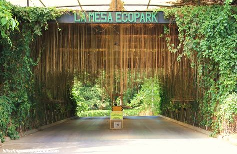 Wedding Venue In The Philippines. La Mesa Eco Park.  This 33-hectare natural sanctuary found in the midst of the city is perfect for couples who adore nature. It can accommodate up to 250 guests and offers different reception areas. Eco Park, Philippine Wedding, Wedding Venues Indoor, Landscaping Inspiration, Park Wedding, Indoor Wedding, Park Weddings, Reception Areas, The Philippines