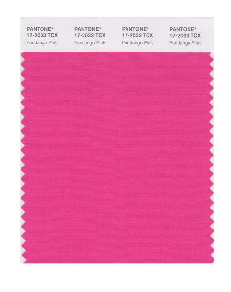 Pantone Tcx, Fuschia Color, Fuchsia Wedding, Winter Hacks, Fuchsia Purple, True Winter, Color Collage, Shocking Pink, Bright Winter