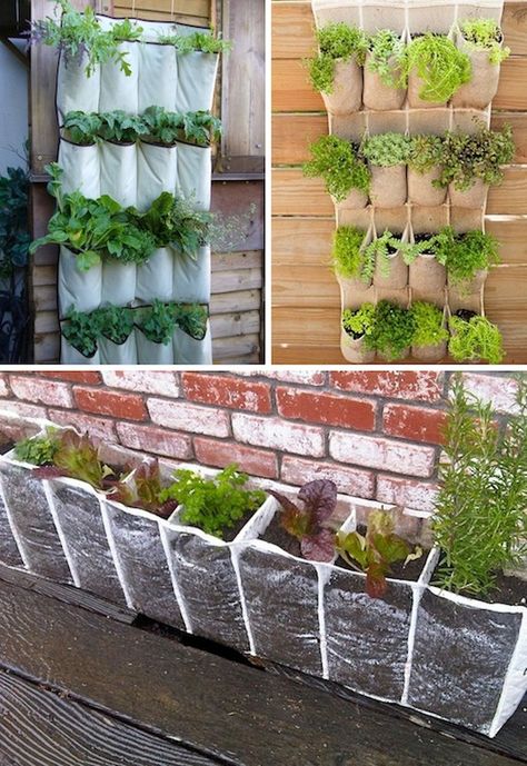 24 Creative Garden Container Ideas | Use hanging shoe racks to grow a vertical garden. Growing In Pots, Upcycled Planter, Garden Container, Container Ideas, Backyard Vegetable Gardens, Shoe Racks, Secret Gardens, Garden Containers, The Secret Garden