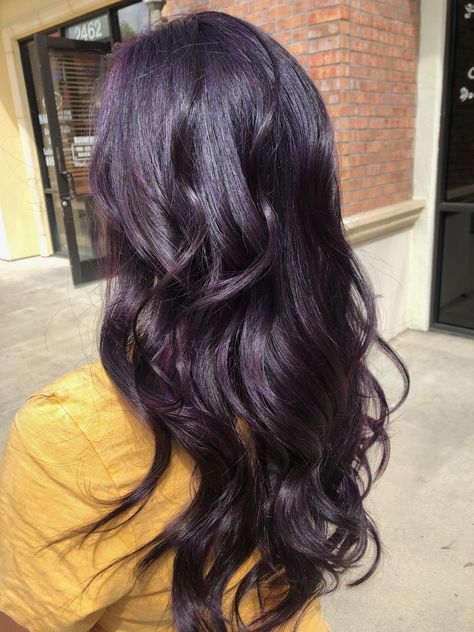 #darkpurple#longhair#purple#blackberry#hairstyle Blackberry Hair Colour With Highlights, Black Violet Hair Color, Black Hair With Purple Tint, Deep Purple Highlights, Plum Black Hair, Midnight Purple Hair, Violet Black Hair, Dark Plum Hair, Black And Purple Hair