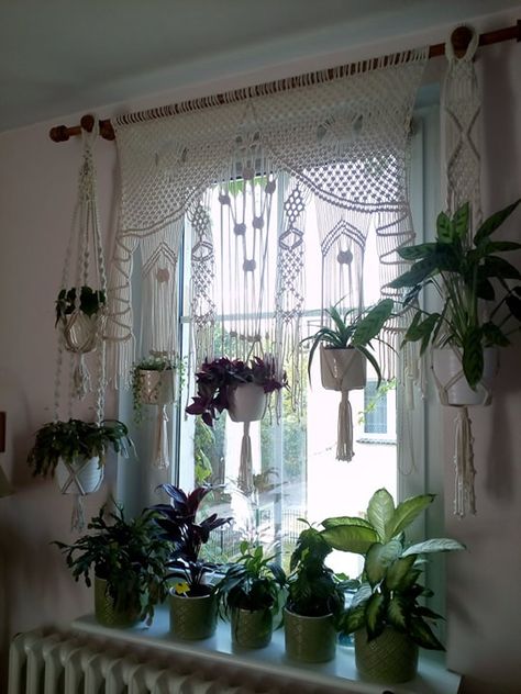 Macrame Plant Curtain, Macrame Curtain Plant Hanger, Groovy Curtains, Driftwood Plant Hanger, Mini Dreamcatcher, Macrame Plant Hanger Tutorial, Plant Window, Window Plants, Rustic Porch