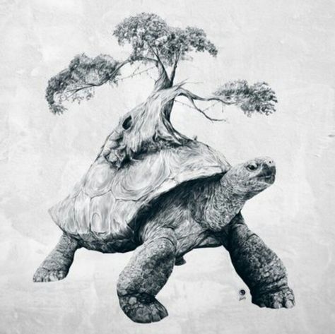 The Neverending Story Tortoise Drawing, Tortoise Tattoo, Art Bizarre, Graphisches Design, Turtle Tattoo, White Drawing, Turtle Art, Black Tree, A Turtle