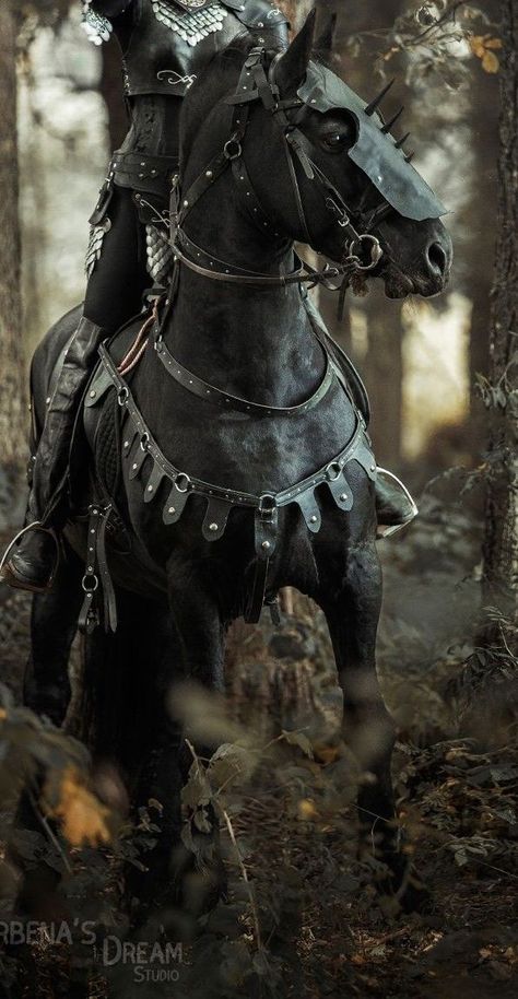 Horses Funny, Medieval Horse, Funny Horse Pictures, Medieval Aesthetic, Horse Anatomy, Horse Costumes, Majestic Creatures, Horse Armor, Funny Horses