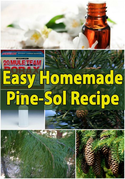 Easy Homemade Pine-Sol { Recipe } Pine Sol, Homemade Cleaning Supplies, Homemade Scrub, Natural Laundry, Homemade Cleaning Products, Household Cleaning Tips, Diy Cleaners, Cleaning Recipes, Cleaners Homemade