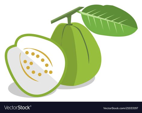 Transparent Png, Png Images, White Background, Vector Images, Vector Free, Illustrator, Royalty Free, Green, White