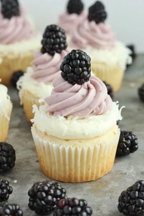 Coconut Blackberry Cupcakes - Baking with Blondie Blackberry Coconut Cupcakes, Blackberry Buttercream, Blackberry Cupcakes, Brookies Cookies, Baking With Blondie, Baking Store, Jar Recipes, Break The Silence, Novelty Birthday Cakes