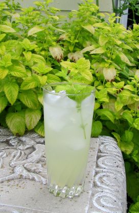 Hot Water With Lemon, Lemon Balm Uses, Lemon Balm Recipes, Water With Lemon, Lemon Balm Tea, Drinking Hot Water, Herbal Teas Recipes, Herbal Drinks, Lemonade Recipe