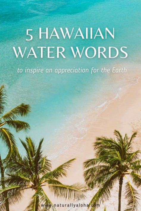 How to Say 5 Aesthetic Hawaiian Water Words - Naturally Aloha Tattoos In Hawaii, Beautiful Hawaiian Words, Hawaiian Word Tattoos, Beachy Words, Aloha Aesthetic, Water Words, Hawaiian Sayings, Hawaiian Words And Meanings, Hawaiian Words