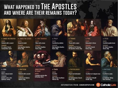 HISTORY OF THE CATHOLIC CHURCH | The remains of the apostles are all in Catholic Churches. | Facebook Pictures Of Jesus, The Apostles, Religious People, Bible History, Faith Formation, Bible Facts, Religious Education, Scripture Study, Bible Knowledge