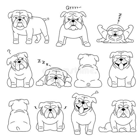 Bulldog Elements Line Drawing Stock Vector - Illustration of standing, collection: 105209024 Bulldog Cartoon Illustrations, Easy Bulldog Drawing, Simple English Bulldog Tattoo, Simple Bulldog Tattoo, Olde English Bulldogge Tattoo, Small Bulldog Tattoo, Simple Bulldog Drawing, English Bulldog Tattoo Minimalist, English Bulldog Tattoo Outline