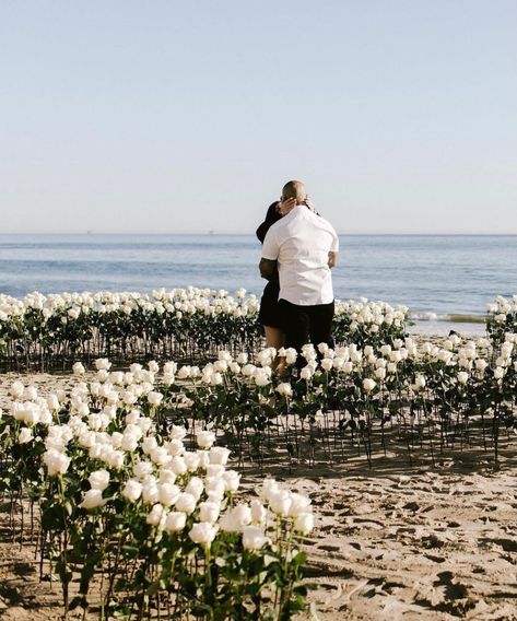 Proposal Backyard, Beach Proposal White Roses, Beach Flower Proposal, White Proposal, White Roses Proposal, Proposal Ideas Flowers, White Rose Proposal, Dreamy Proposal, Proposal Beach