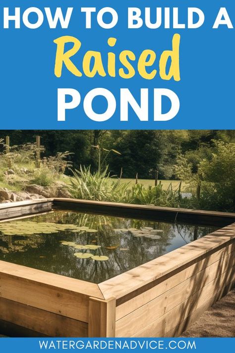 square raised timber pond Above Ground Koi Pond Ideas, Above Ground Pond Ideas, Pond Above Ground, Raised Pond Ideas, Ponds Ideas, Above Ground Pond, Fish Ponds Backyard, Small Backyard Ponds, Diy Ponds Backyard