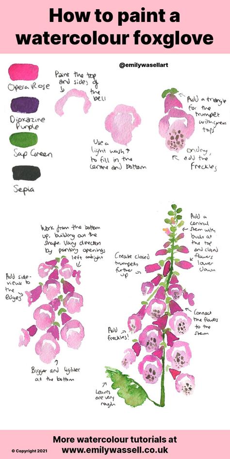 How to Paint a Foxglove in Watercolour - Step by Step | Emily Wassell Watercolour Painting Step By Step, How To Draw Foxgloves Step By Step, Watercolour Beginner Step By Step, Watercolour Foxgloves, Foxgloves Watercolour, Watercolor Foxglove, Foxglove Art, Watercolour Step By Step, Cartoon Painting Ideas